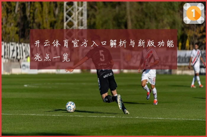 开云体育官方入口解析与新版功能亮点一览